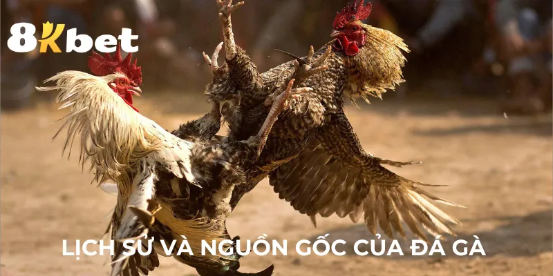 lich-su-va-nguon-goc-da-ga