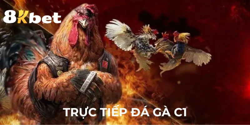 truc-tiep-da-ga-c1